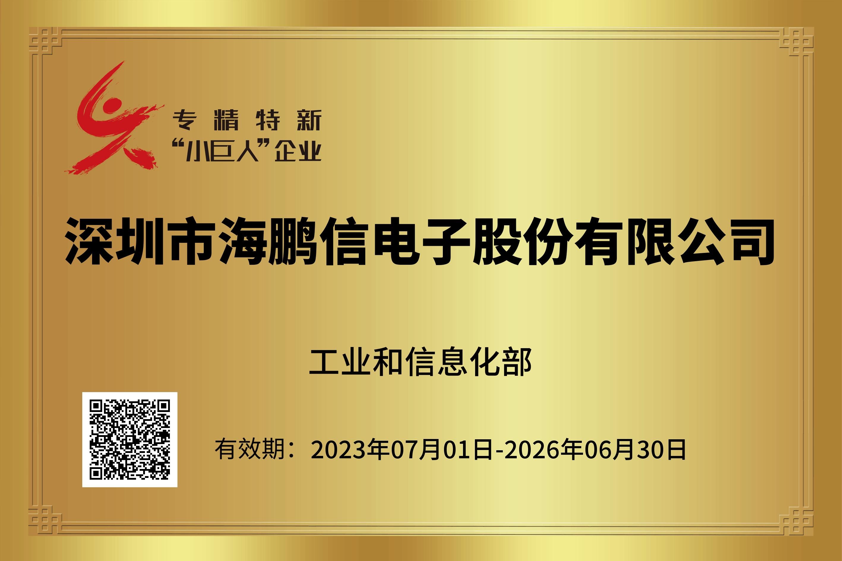 國家專精特新“小巨人”企業(yè)