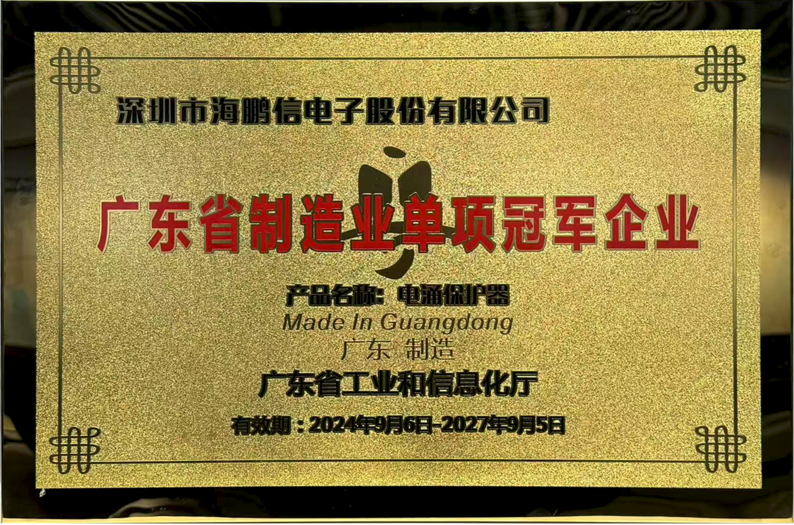 廣東省制造業(yè)單項冠軍企業(yè)