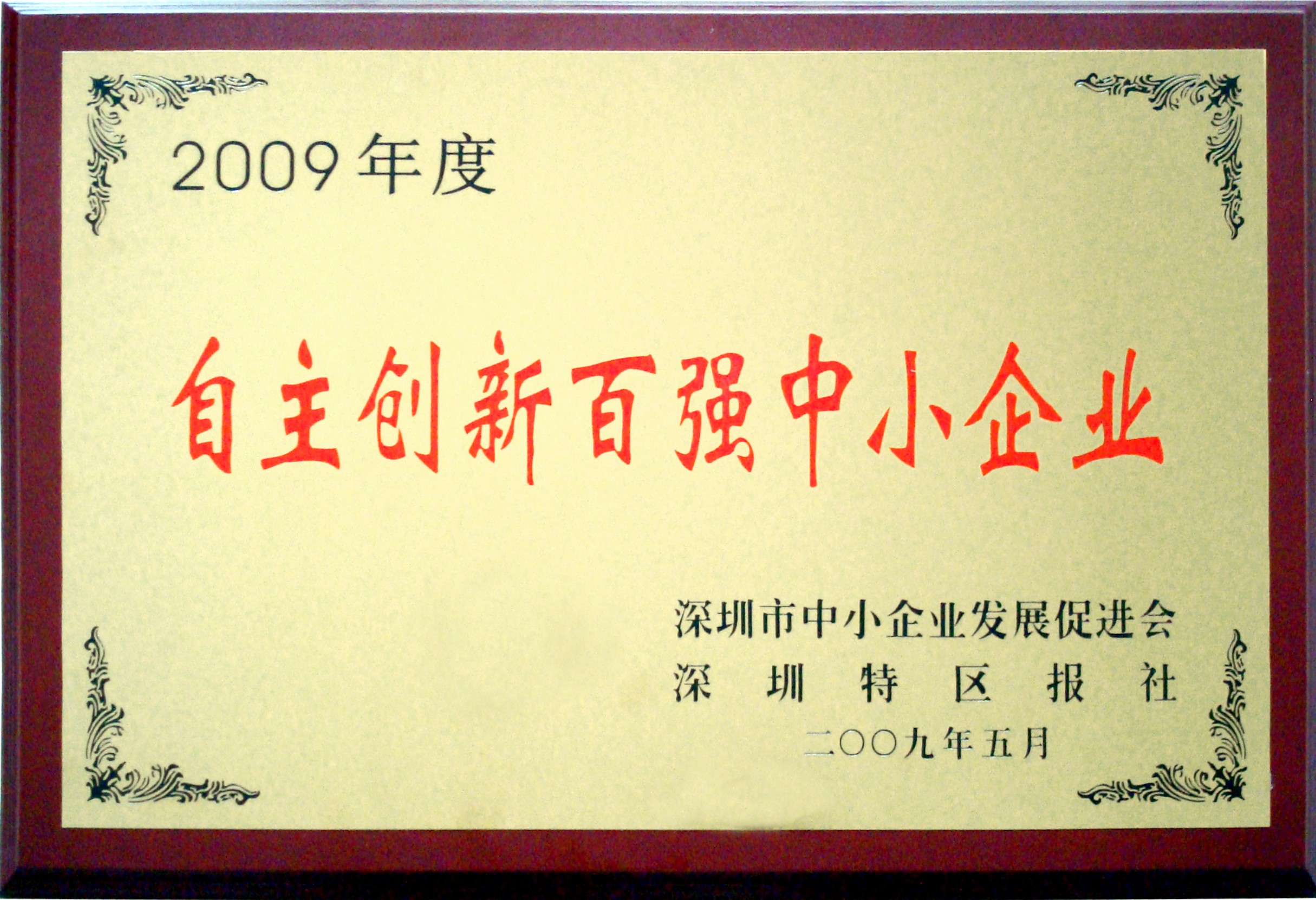2009年度自主創(chuàng)新百強中小企業(yè)