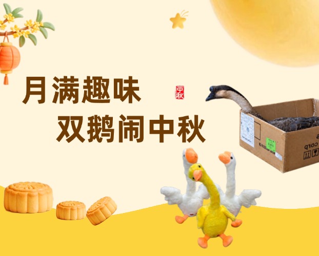 海鵬信“月滿趣味 · 雙鵝鬧中秋”活動歡樂收官
